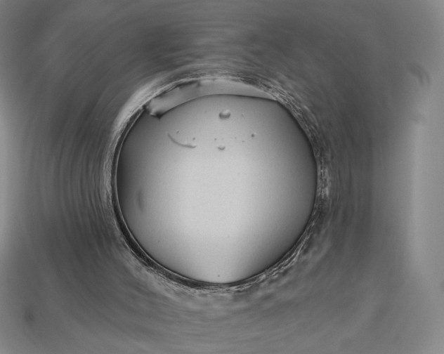 X0000112960004200909101642