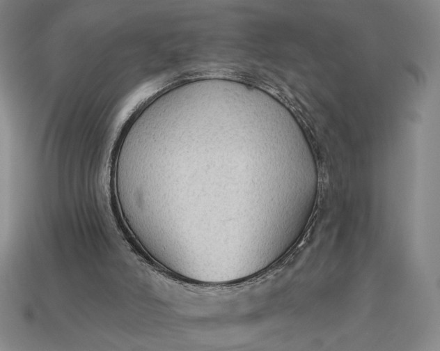 X0000112960006200909101642