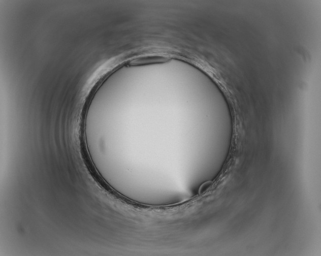 X0000112960007200909101642