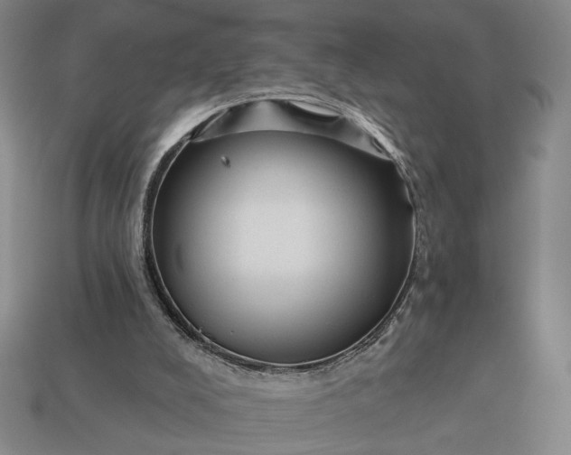 X0000112960008200909101642