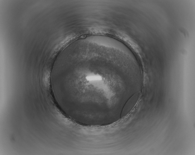 X0000112960009200909101642