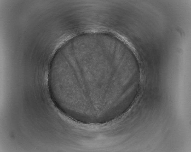 X0000112960010200909101642