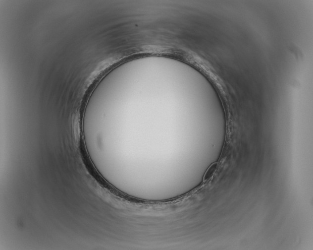 X0000112960011200909101642