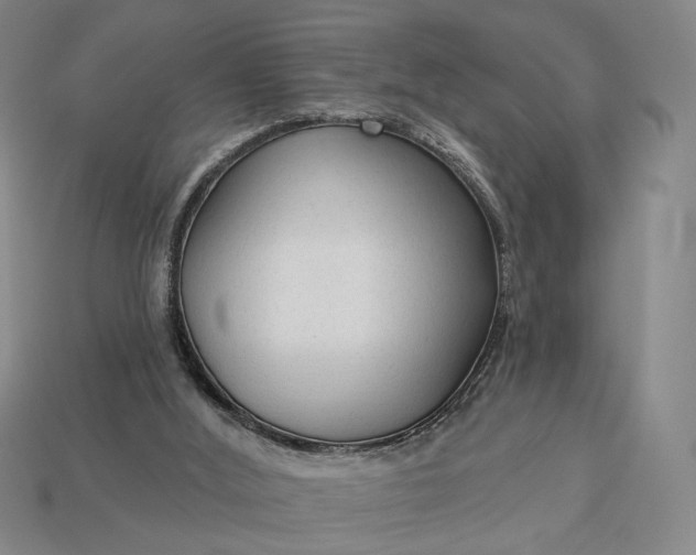 X0000112960012200909101642