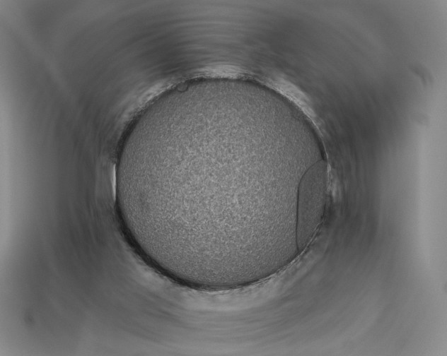 X0000112960013200909101642