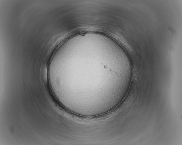 X0000112960014200909101642