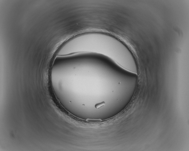 X0000112960015200909101642