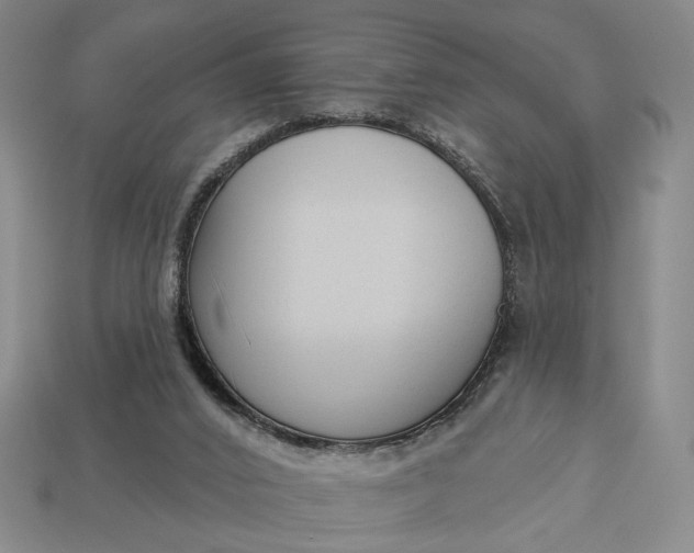 X0000112960016200909101642