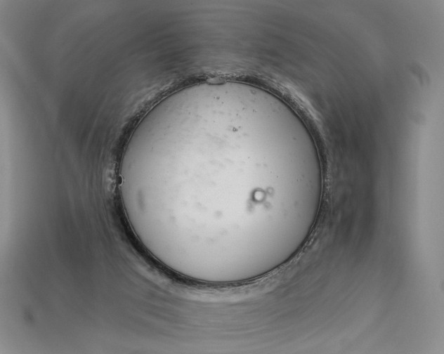 X0000112960017200909101642