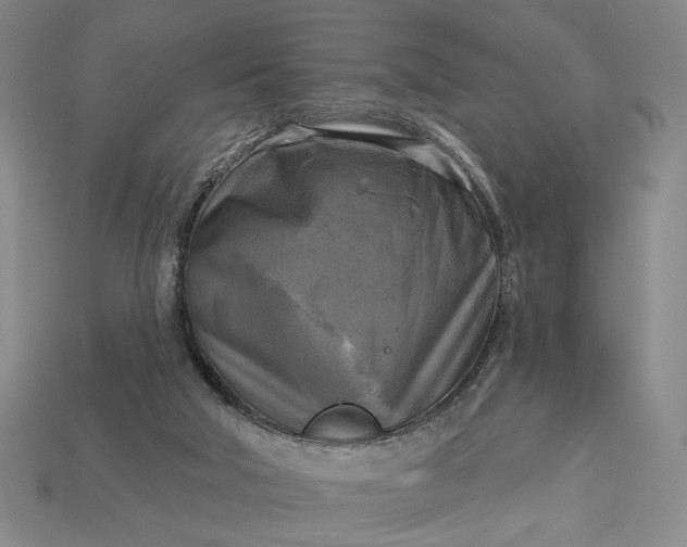 X0000112960018200909101642