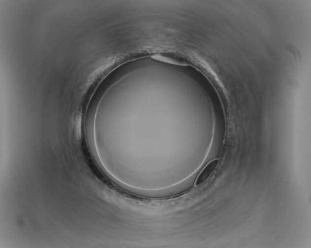 X0000112960019200909101642