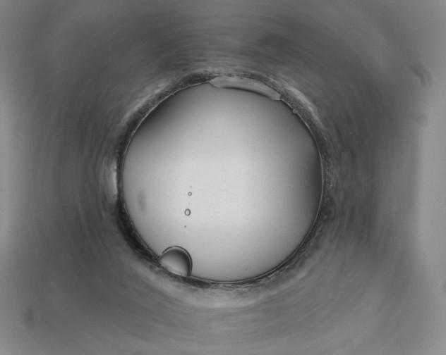 X0000112960020200909101642