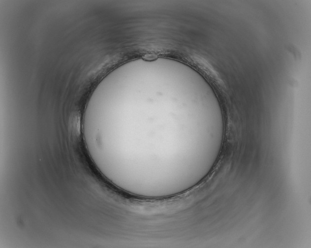 X0000112960021200909101642