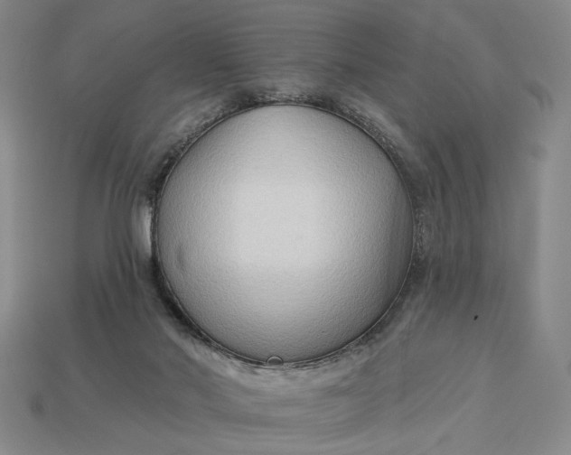 X0000112960022200909101642