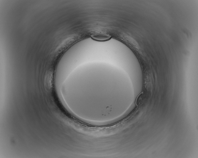 X0000112960023200909101642