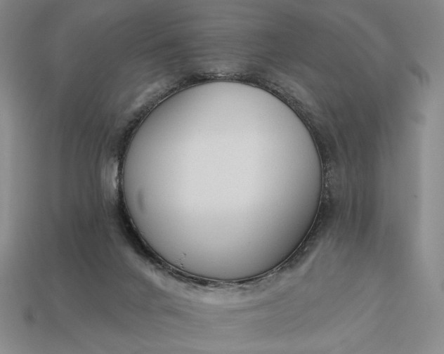 X0000112960024200909101641