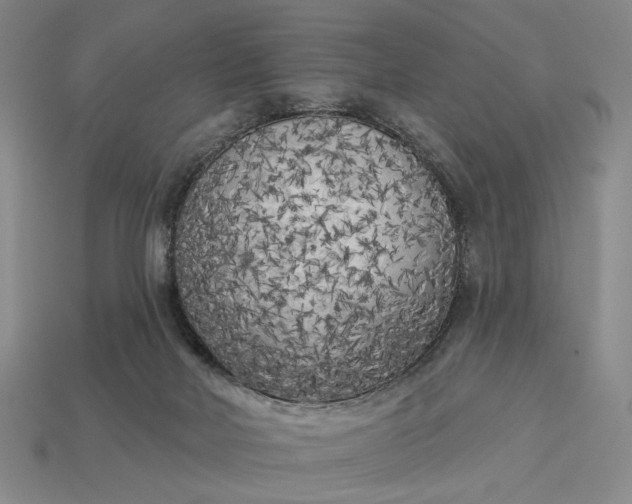 X0000112960026200909101641