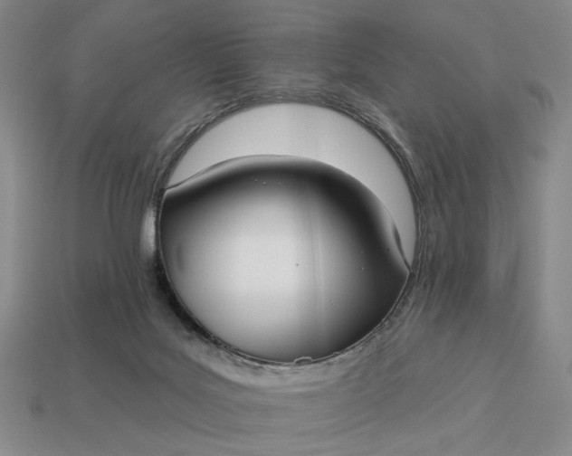 X0000112960027200909101641