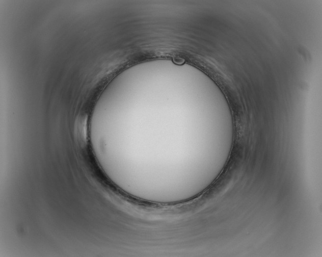 X0000112960028200909101641