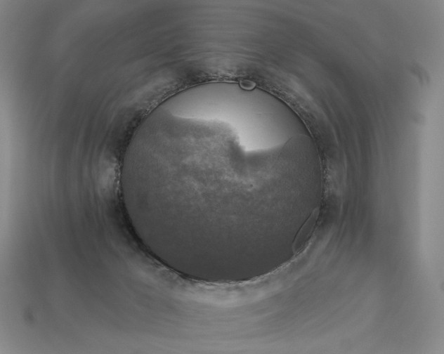 X0000112960029200909101641