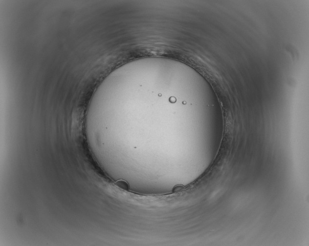 X0000112960030200909101641