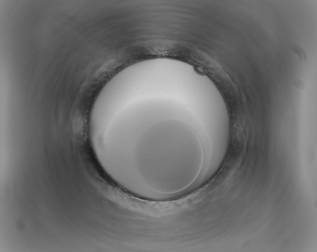 X0000112960031200909101641