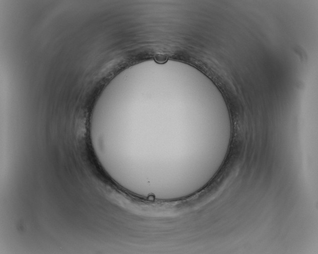 X0000112960032200909101641