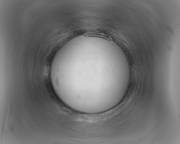 X0000112960033200909101641