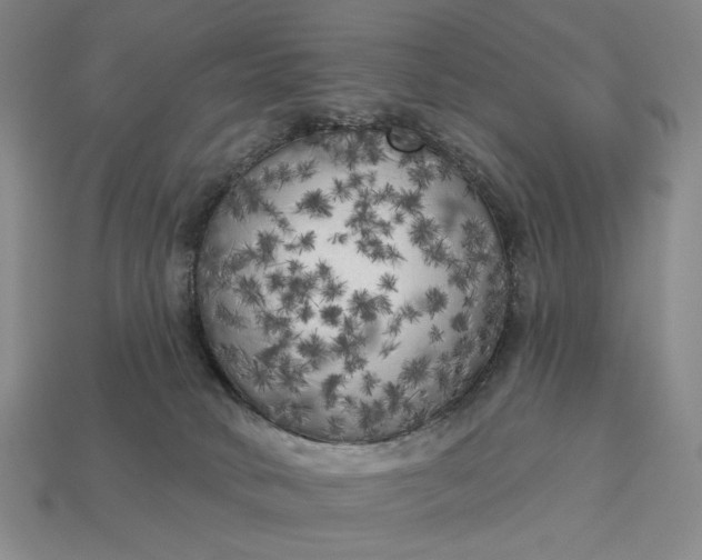 X0000112960034200909101641