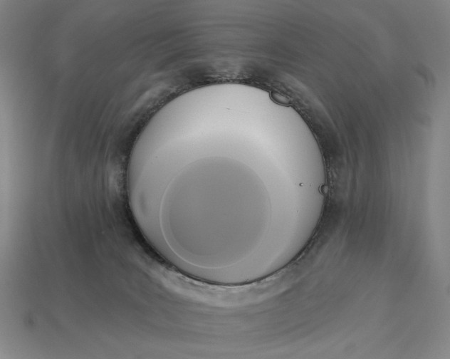 X0000112960035200909101641