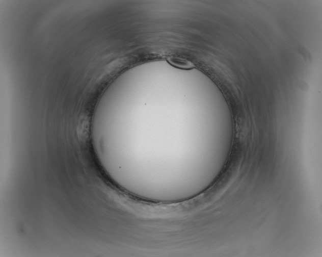 X0000112960036200909101641