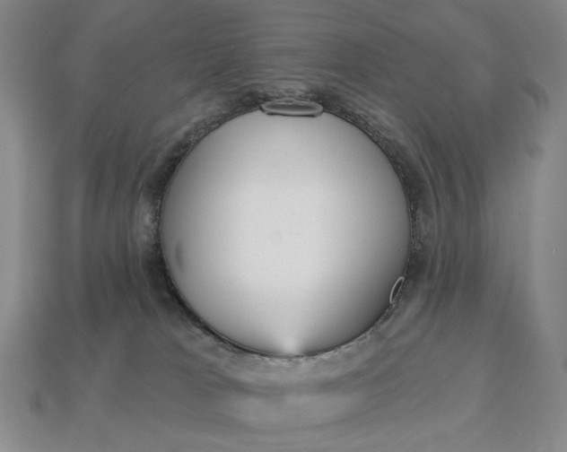 X0000112960037200909101641