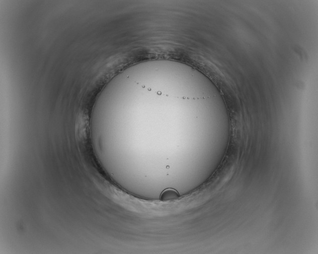 X0000112960038200909101641