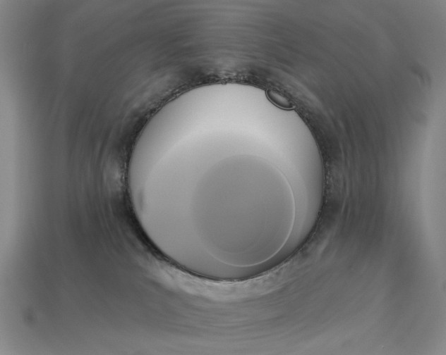 X0000112960039200909101641