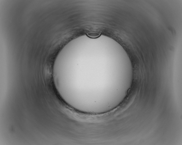 X0000112960040200909101641