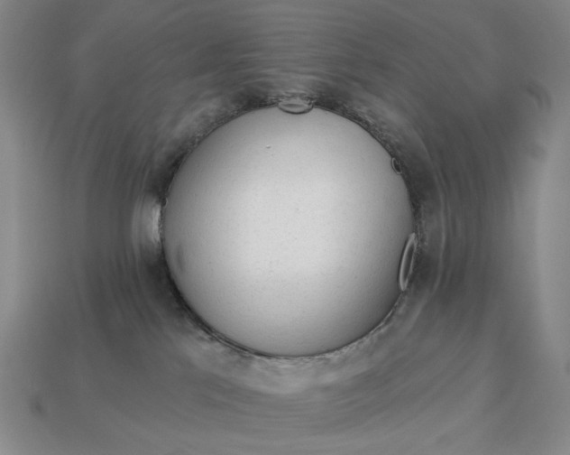 X0000112960041200909101641