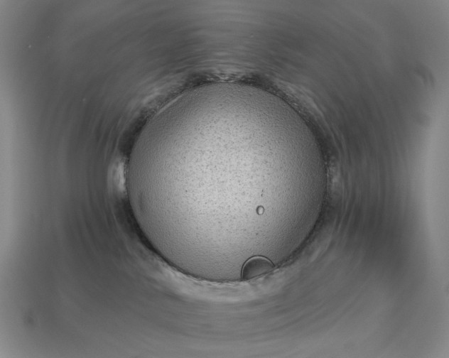 X0000112960042200909101641