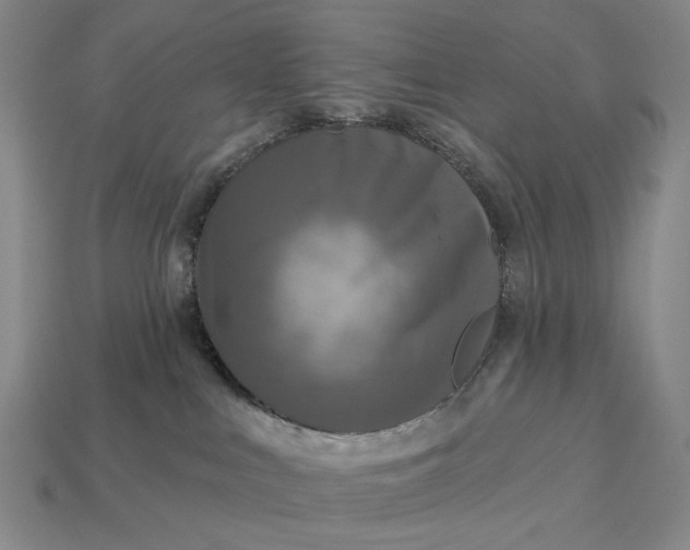 X0000112960043200909101641