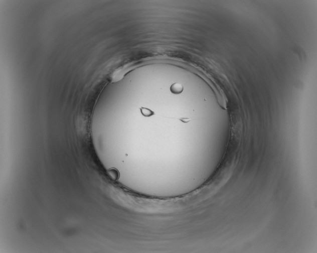 X0000112960044200909101641