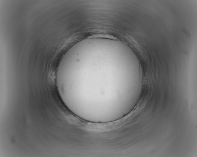 X0000112960045200909101641