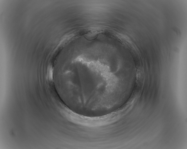 X0000112960046200909101641