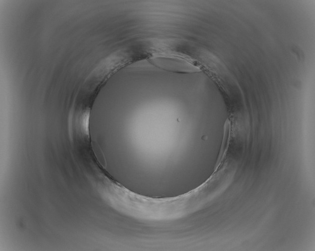 X0000112960047200909101641