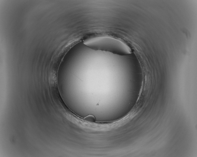 X0000112960048200909101641