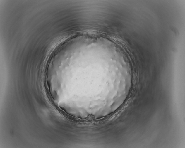 X0000112960049200909101641