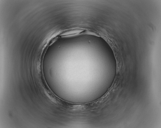 X0000112960050200909101641