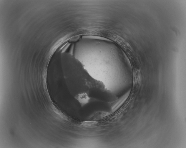 X0000112960051200909101641