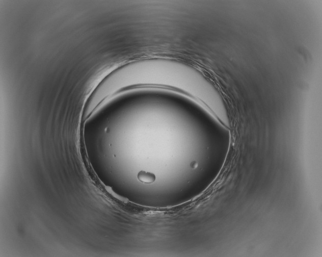 X0000112960052200909101641