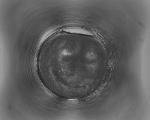 X0000112960053200909101641