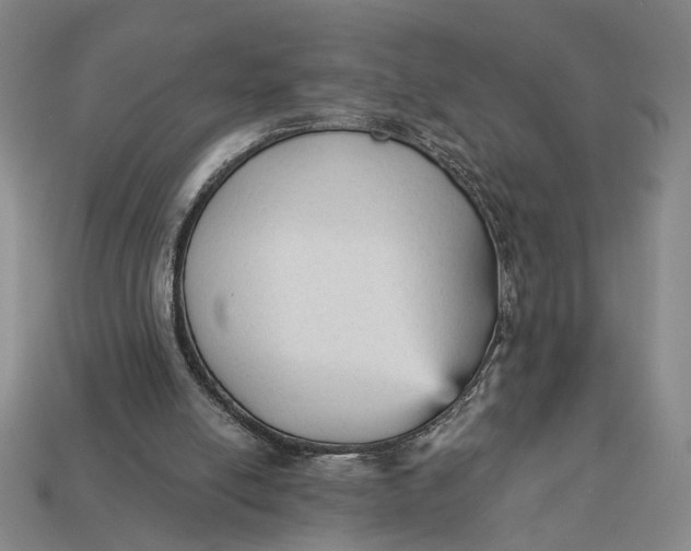 X0000112960054200909101641