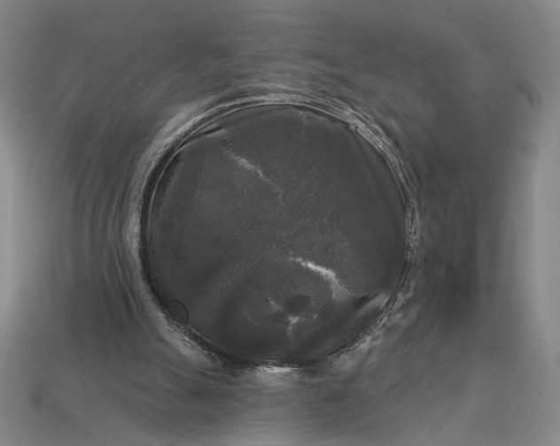 X0000112960055200909101641